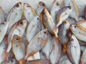 Analisa Keuntungan Bisnis Ikan Asin Beserta Modalnya