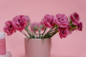 Pelajari Bisnis Pot Bunga Unik dengan Berbagai Ide Menarik!