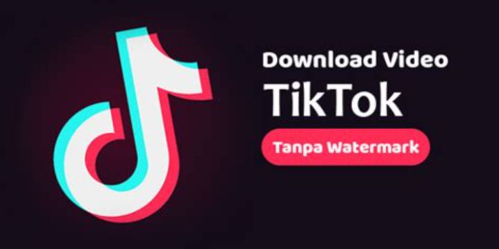 Cara Mudah Mendownload Video TikTok Tanpa Watermark (Sumber: Yandex)