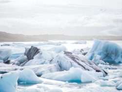 4 Efek Pencairan Es di Kutub Utara Versi Ahlia