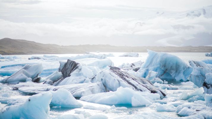 4 Efek Pencairan Es di Kutub Utara Versi Ahlia (Sumber: Yandex)