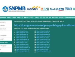 Link Website Resmi SNPMB BPPP untuk Seleksi Masuk PTN 2023