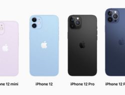 Spesifikasi dan Harga iPhone 12 Series Terbaru
